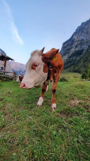 In Der Alpenresidenz Mit Einem Faszinierenden Ausblick Berchtesgaden